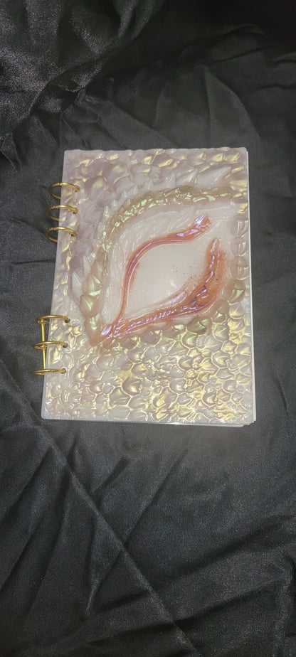 Dragon Notebook (I)