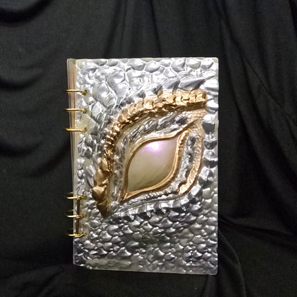 Dragon Notebook (A11)