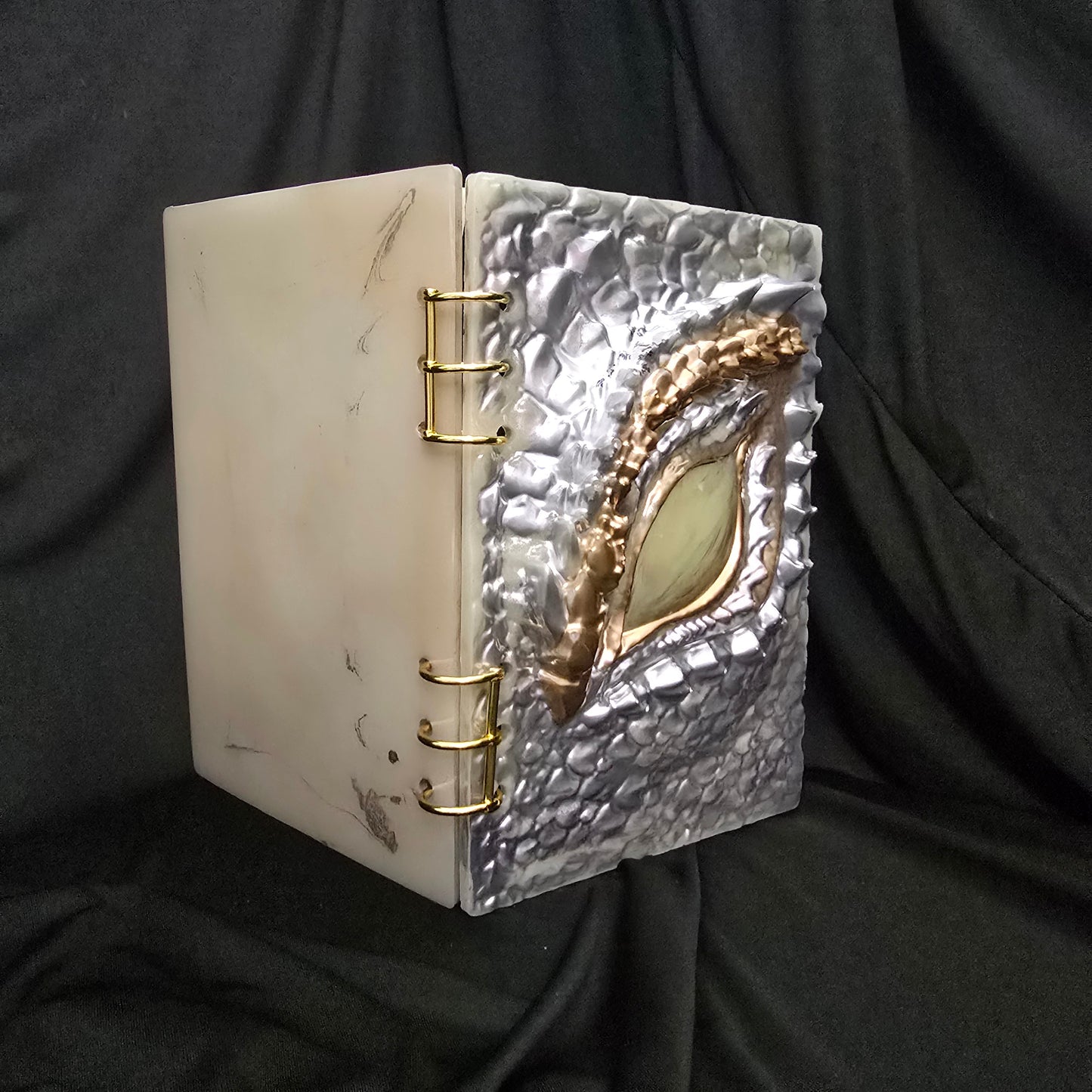 Dragon Notebook (A11)