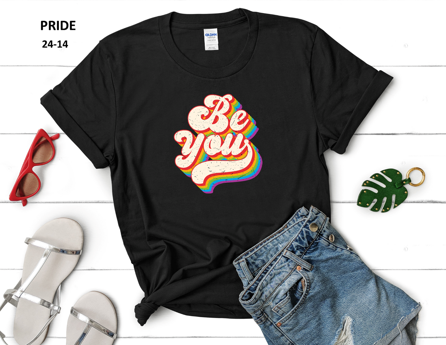 CELEBRATE YOUR PRIDE T-SHIRT (8 styles)