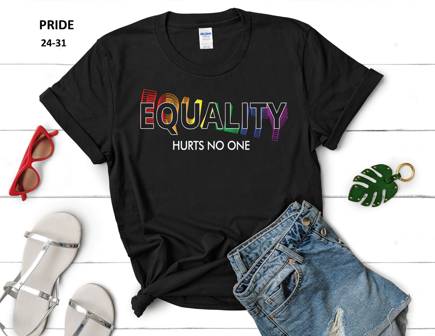 CELEBRATE YOUR PRIDE T-SHIRT (8 styles)