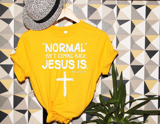 NORMAL ISN'T COMING BACK, JESUS IS T-SHIRT